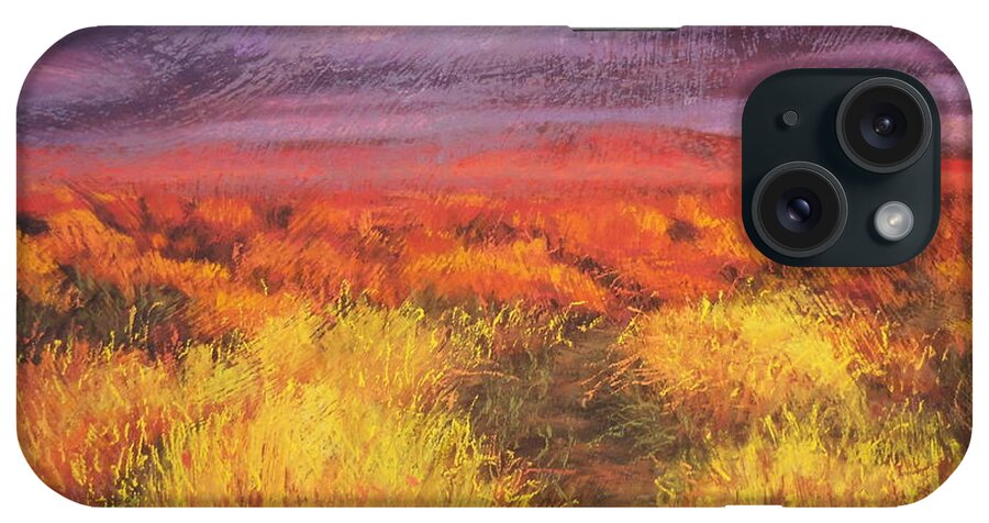 La Sal iPhone Case featuring the painting Spring Cinema by Sandi Snead