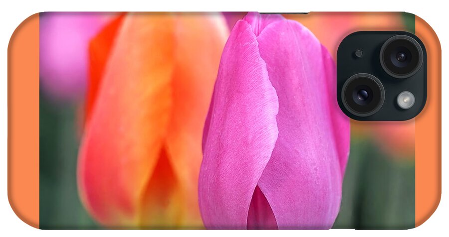 Tulips iPhone Case featuring the photograph Spring Colors by Rona Black