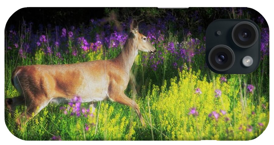 Spring iPhone Case featuring the photograph Spring Doe by John Fabina