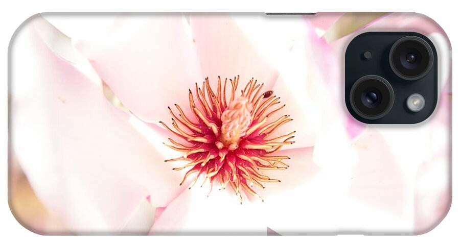 Aroma iPhone Case featuring the photograph Spring Flower Blossoms by Serena King