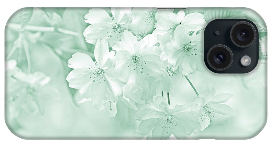 Cherry Tree Blossom iPhone Case featuring the photograph Spring Flower Blossoms Teal by Jennie Marie Schell