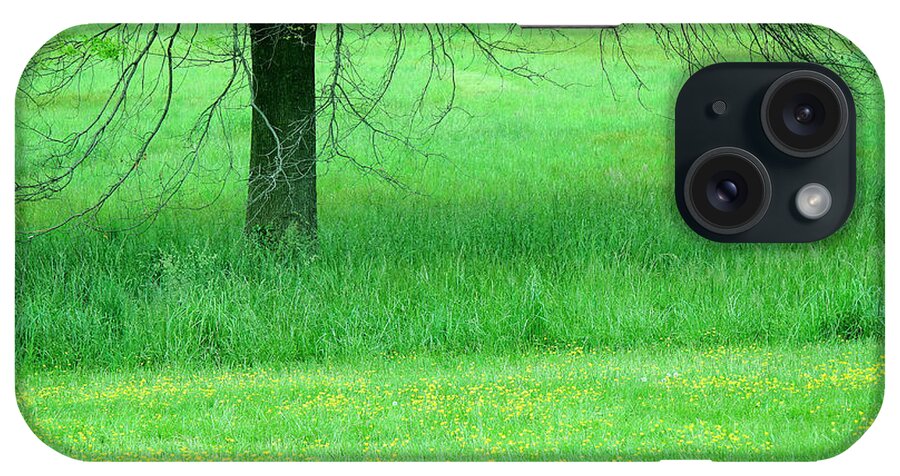 Green iPhone Case featuring the photograph Spring Green With Yellow Buttercups by Cora Wandel