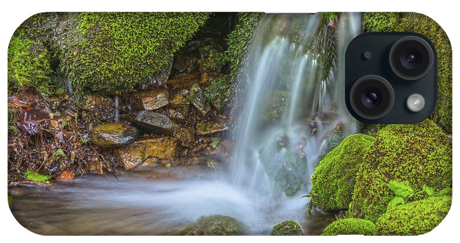 Spring iPhone Case featuring the photograph Spring Has Sprung A Study 0f Moss And Water by Angelo Marcialis