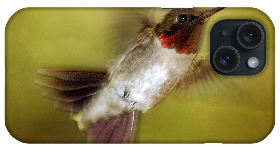 Hummingbird iPhone Case featuring the photograph Spring Hummingbird by TnBackroadsPhotos 