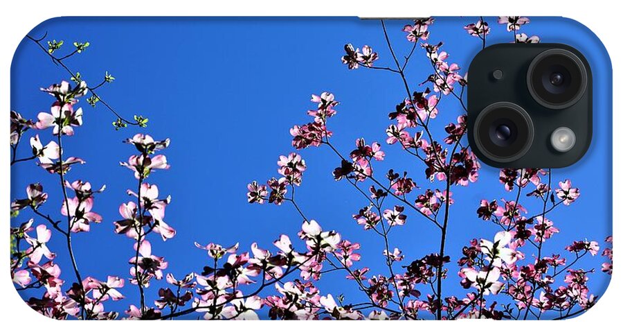 Springtime iPhone Case featuring the photograph Spring in Louisville by Merle Grenz