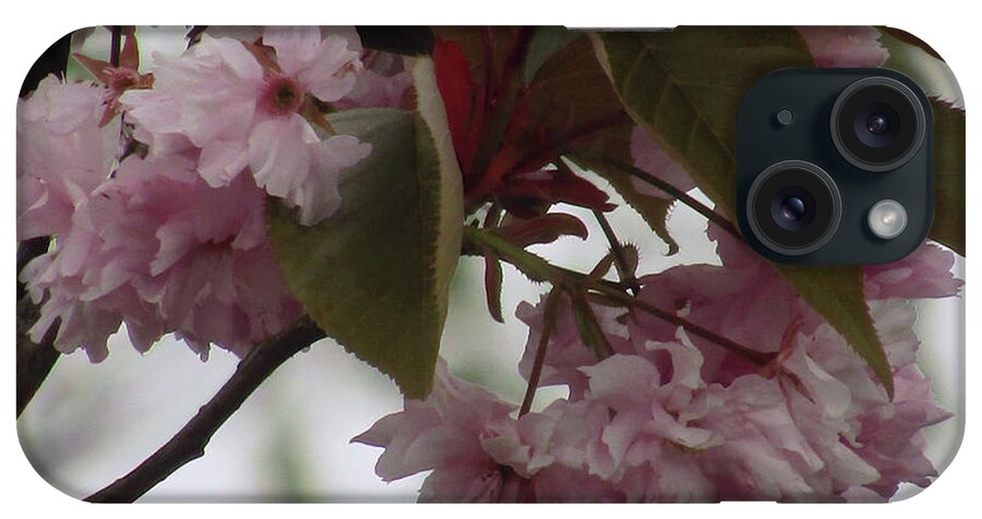 Cherry Blossoms iPhone Case featuring the photograph Spring In Pink 2 by Kim Tran