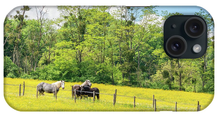 Horses iPhone Case featuring the photograph Spring landscape, Perche province, France by Delphimages Photo Creations
