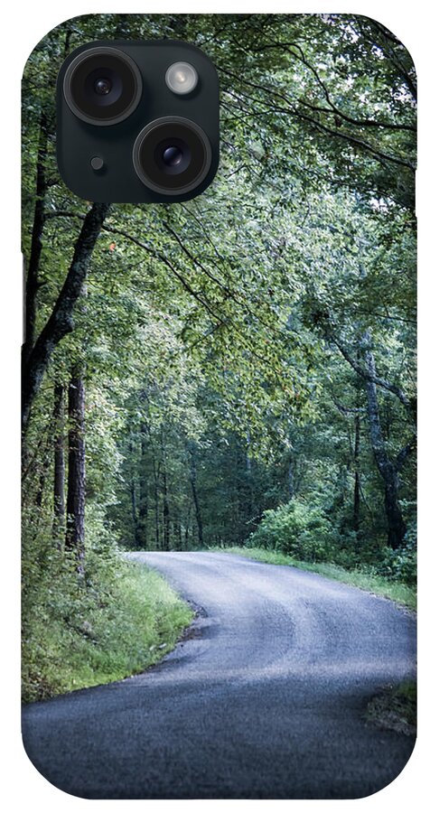 Oak Mountain iPhone Case featuring the photograph Spring Light on a Forest Road by Parker Cunningham
