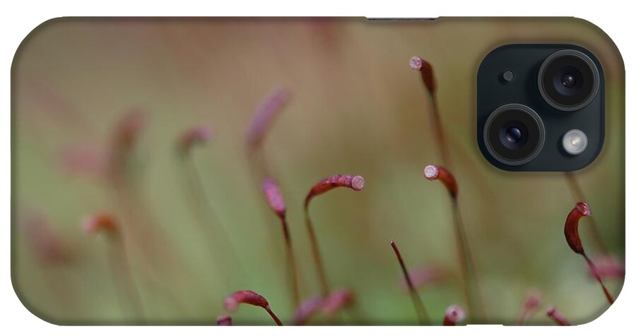 Spring iPhone Case featuring the photograph Spring Macro5 by Jeff Burgess