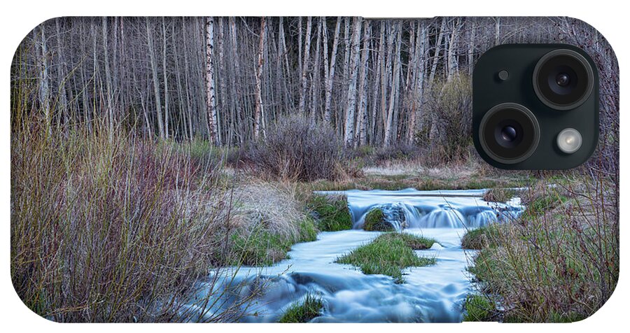 Stream iPhone Case featuring the photograph Spring Melt Off Flowing Down From Bonanza by James BO Insogna
