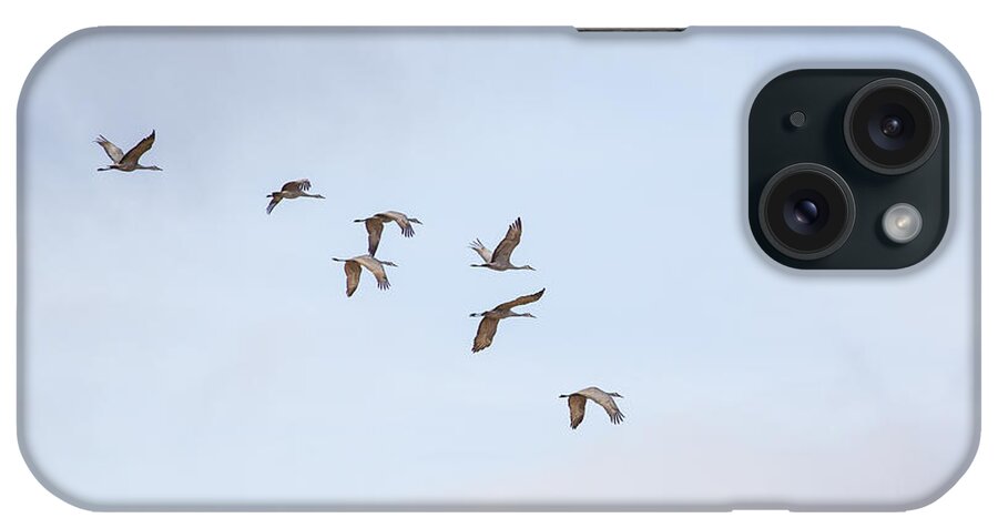 Sandhill Crane iPhone Case featuring the photograph Spring Migration by Kathy Adams Clark
