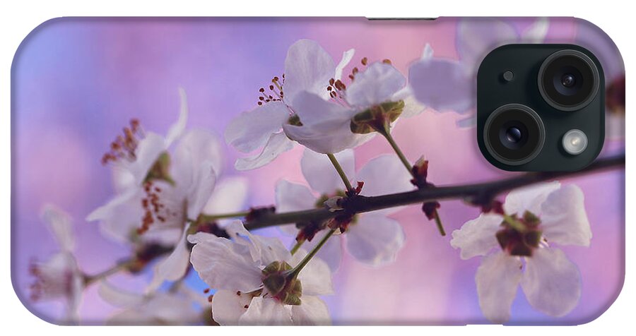 Blossoms iPhone Case featuring the photograph Spring mornings by Vanessa Thomas