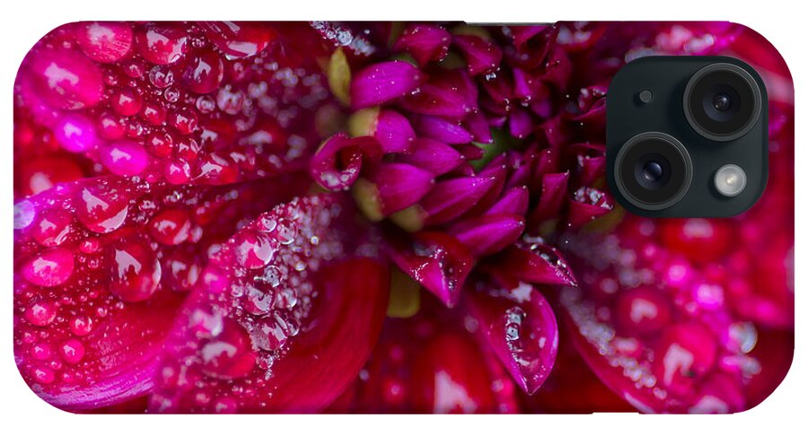 Flower iPhone Case featuring the photograph Spring - Rain and Flower by Patrick Downey