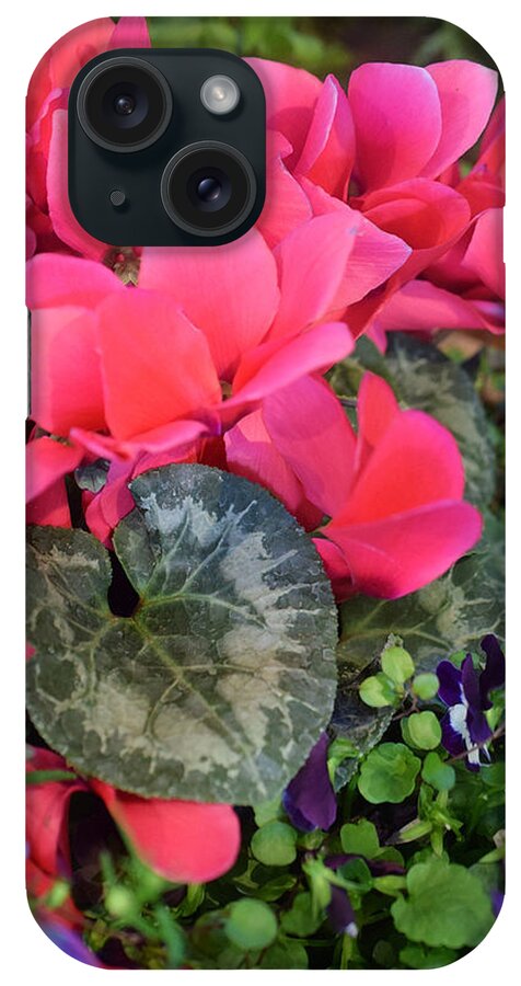 Cyclamen iPhone Case featuring the photograph Spring Show 16 Cyclamen 2 by Janis Senungetuk