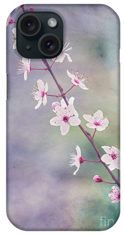 Blossom iPhone Case featuring the photograph Spring Splendor by Linda Lees