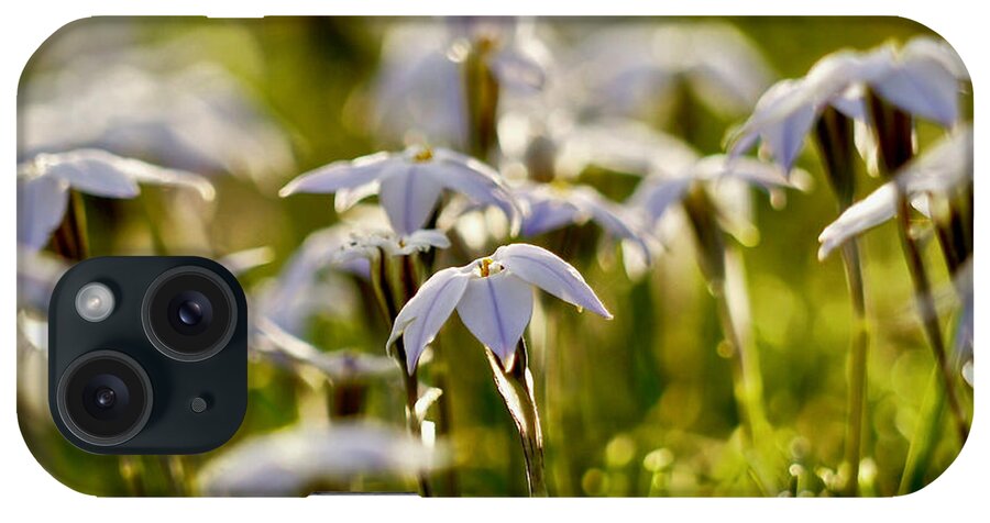 Star Flower iPhone Case featuring the photograph Spring Stars by Rachel Morrison