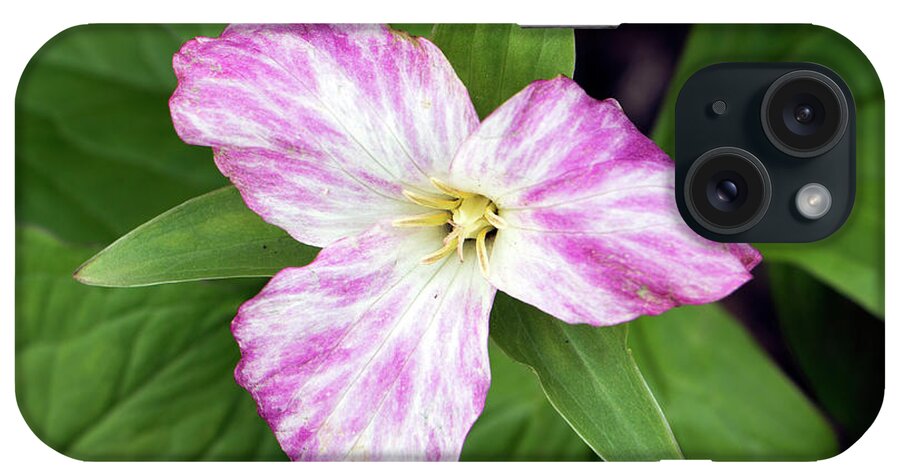 Flower iPhone Case featuring the photograph Spring Trillium by Jeff Severson