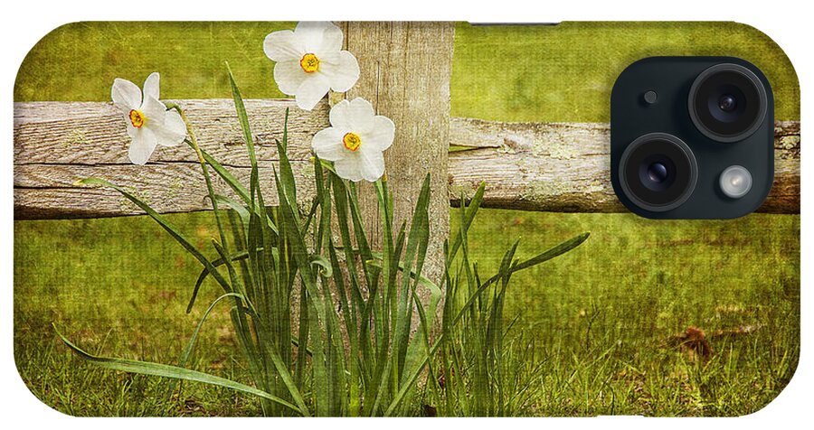 Fence iPhone Case featuring the photograph Spring Trio by Cathy Kovarik