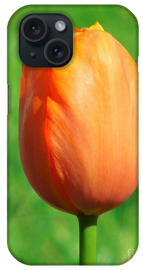 Tulip iPhone Case featuring the photograph Spring Tulip by Chad and Stacey Hall