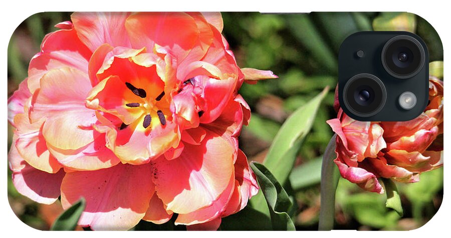 Flowers iPhone Case featuring the photograph Spring Tulips by Trina Ansel