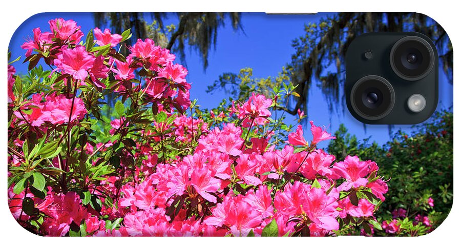 Pink iPhone Case featuring the photograph Springtime Azaleas by Jill Lang