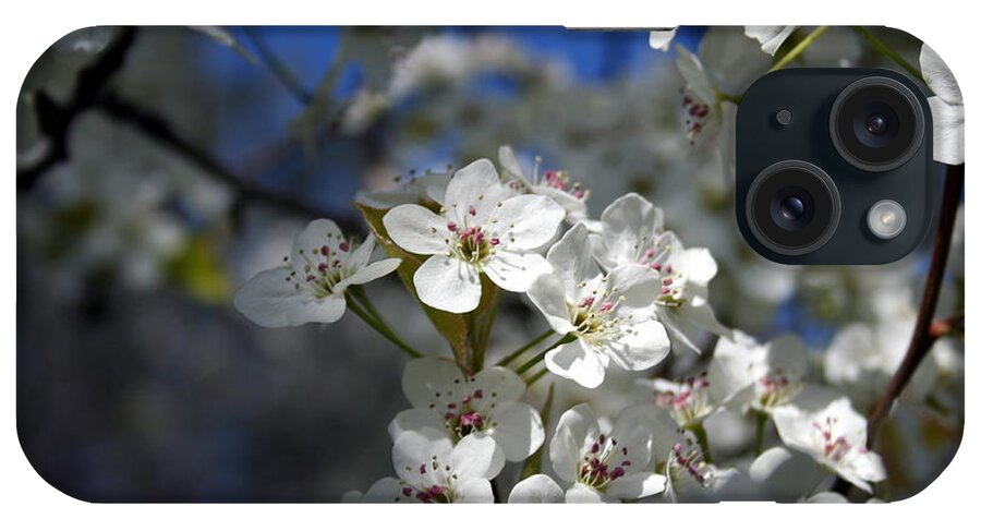 Horizontal Photo iPhone Case featuring the photograph Springtime Cherry Blossoms by Valerie Collins