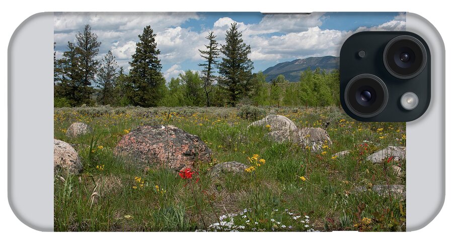 Spring iPhone Case featuring the photograph Springtime in the Rockies by Cascade Colors