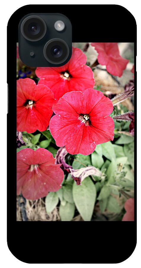 Flowers iPhone Case featuring the photograph Sprung Spring by Ally White