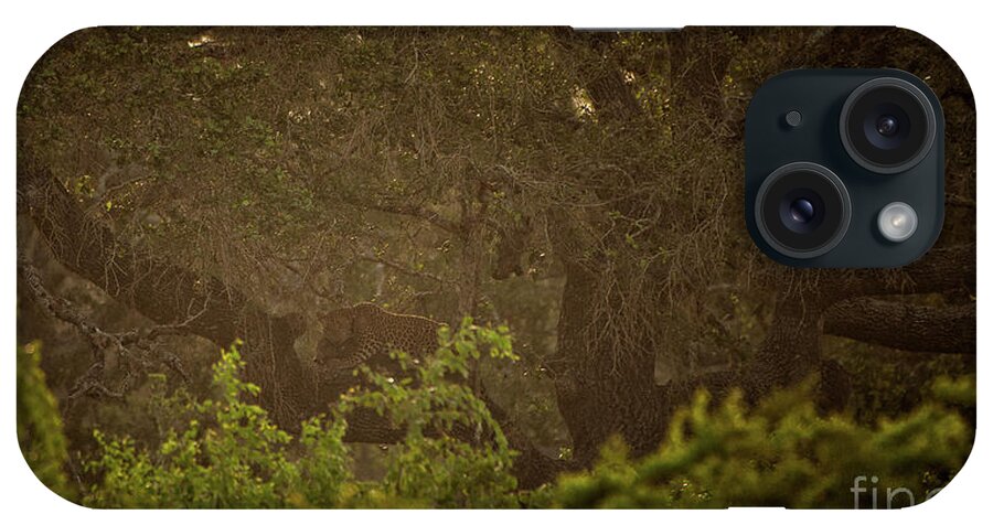 Yala National Park iPhone Case featuring the photograph Sri Lankan Leopard by Venura Herath