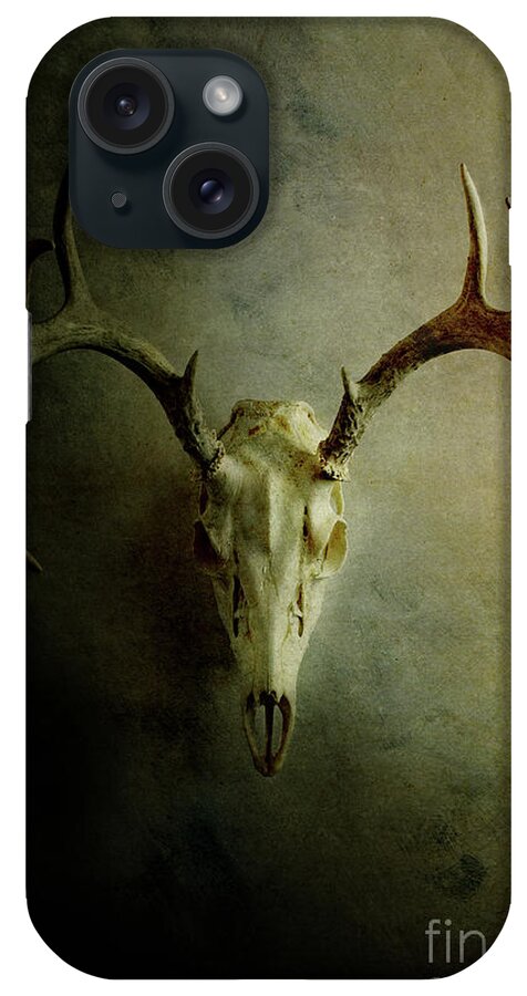 Deer iPhone Case featuring the photograph Stag Skull by Stephanie Frey