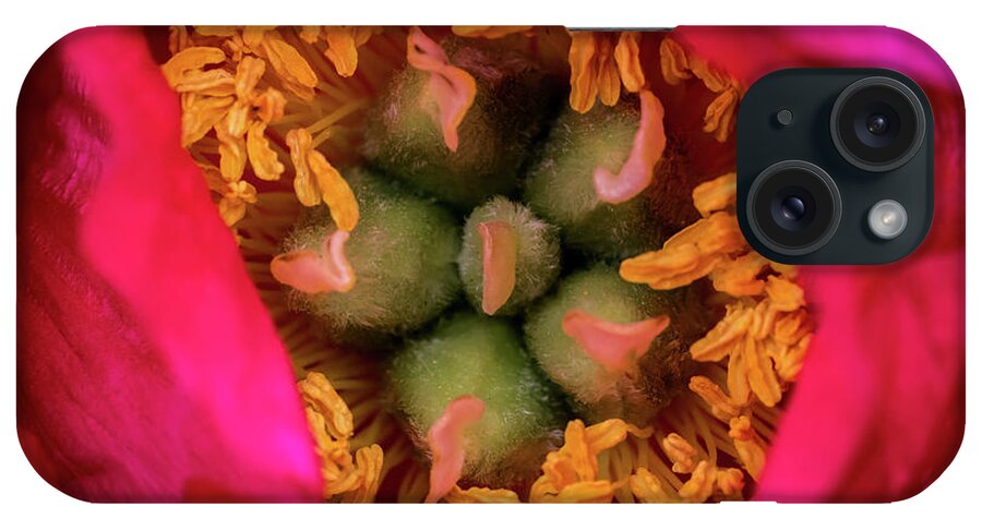 Jay Stockhaus iPhone Case featuring the photograph Stamen and Pistils by Jay Stockhaus