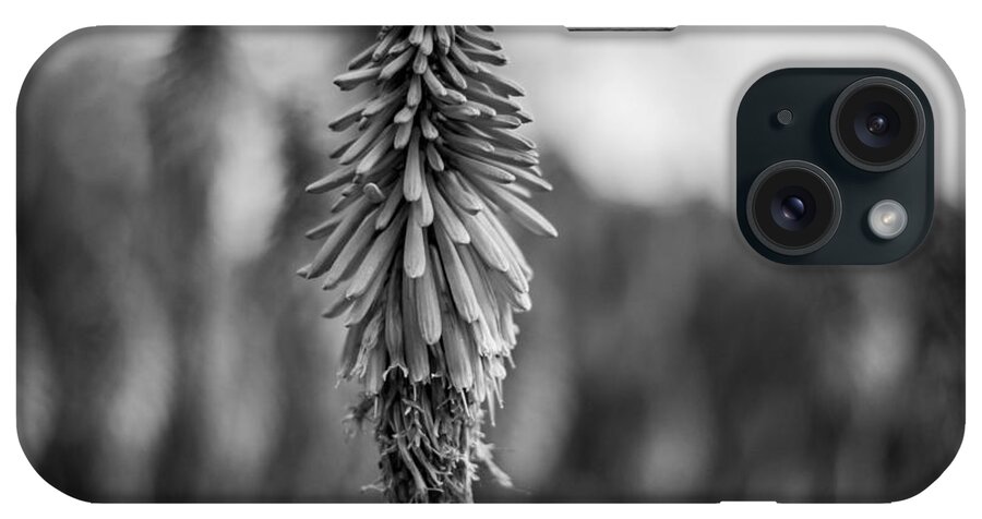Flowers iPhone Case featuring the photograph Stand Alone by Wendy Carrington