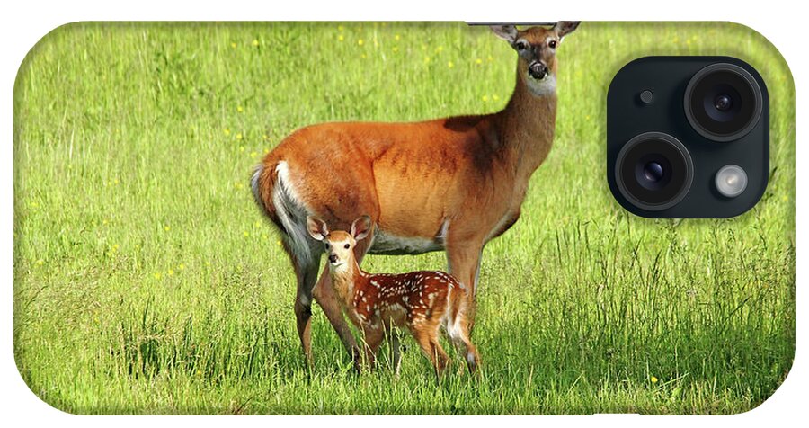 Deer iPhone Case featuring the photograph Stand By Me by Debbie Oppermann