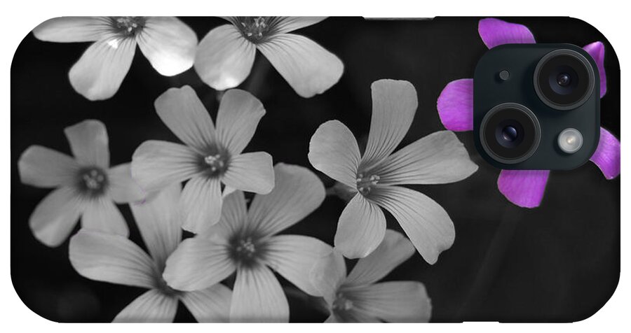 Flower iPhone Case featuring the photograph Stand up Stand Out by Maggy Marsh