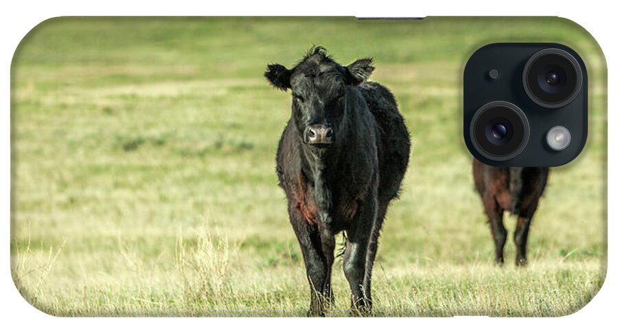 Black Angus iPhone Case featuring the photograph Standoff by Todd Klassy