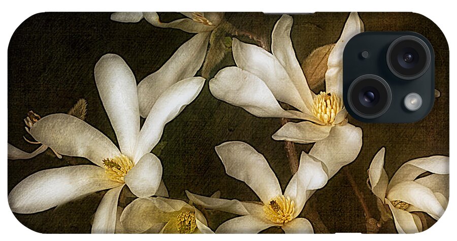 Flower iPhone Case featuring the photograph Star Magnolia by Ann Jacobson