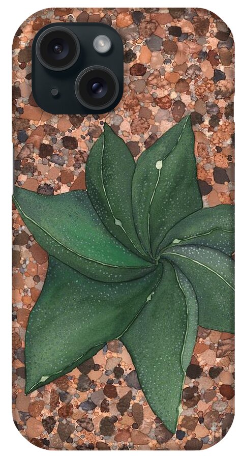 Succulent iPhone Case featuring the painting Star Succulent by Hilda Wagner