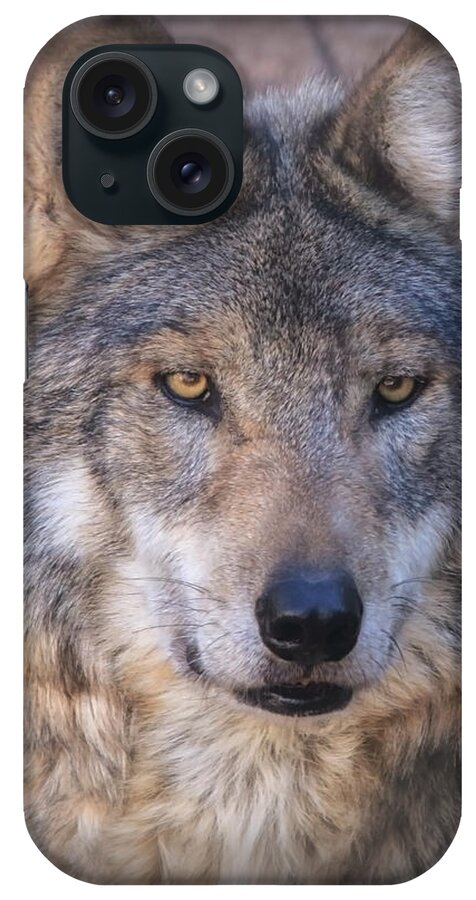 Wolf iPhone Case featuring the photograph Stare Down By Sancho by Elaine Malott