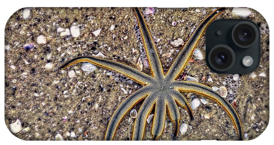 Nature iPhone Case featuring the photograph Starfish on the Beach by Robert FERD Frank