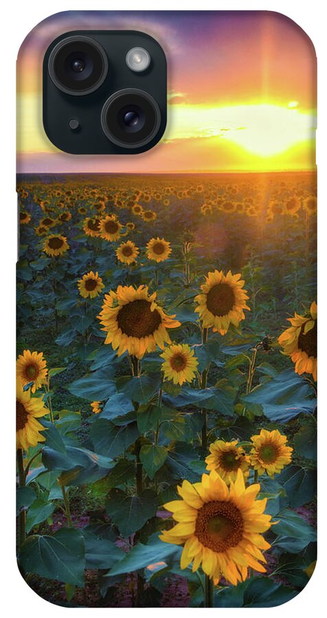 Colorado iPhone Case featuring the photograph Staring Into The Sun by John De Bord