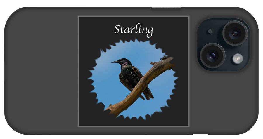 Starling iPhone Case featuring the photograph Starling  by Holden The Moment