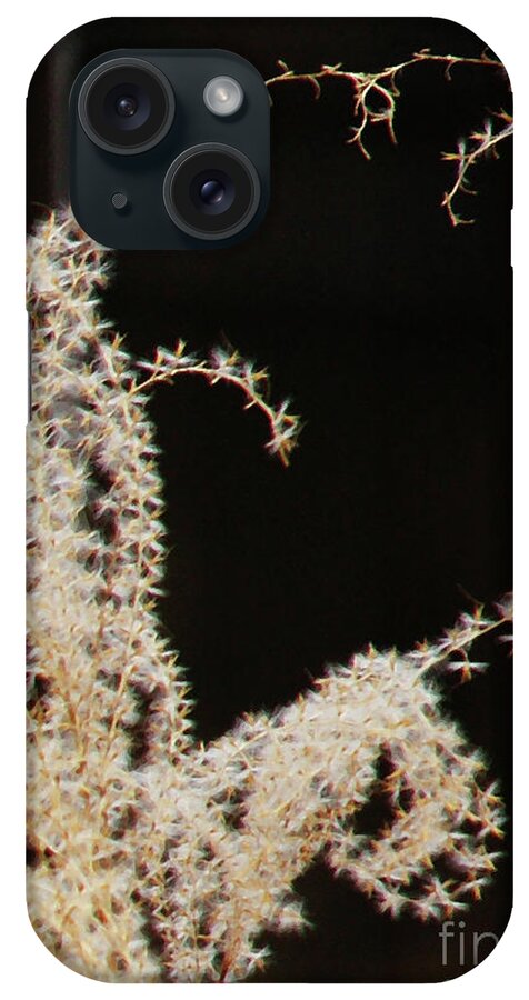 Plant iPhone Case featuring the photograph Stay Close by Linda Shafer