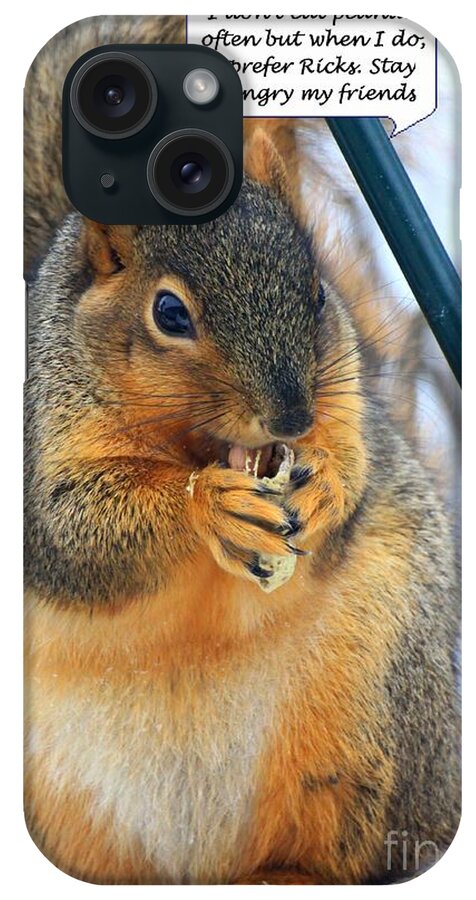 Squirrel iPhone Case featuring the photograph Stay Hungry by Rick Rauzi