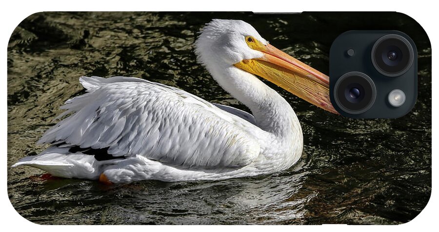 Pelican iPhone Case featuring the photograph Steady As She Goes by Ray Congrove