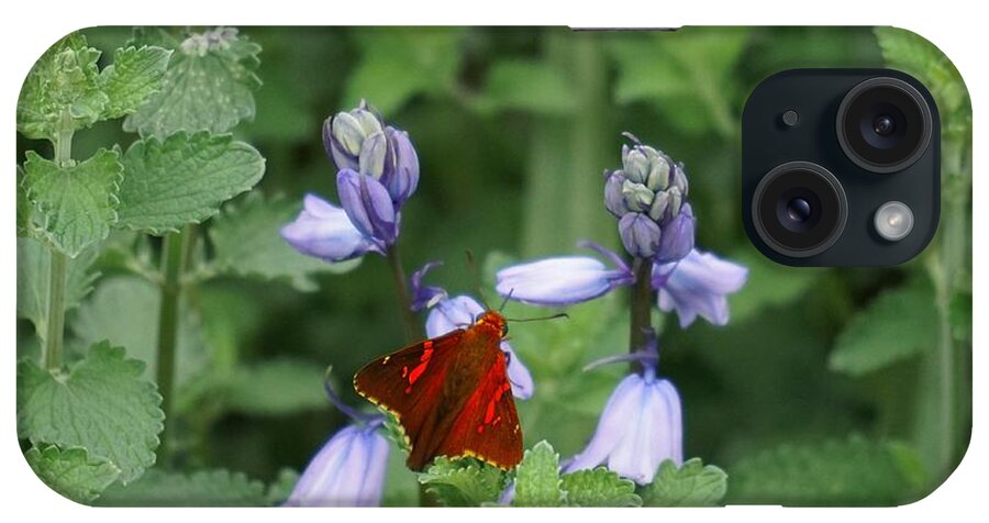 Flowers iPhone Case featuring the photograph Stealth flyer by Merle Grenz