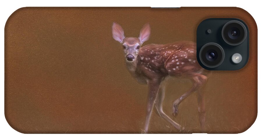 Jai Johnson iPhone Case featuring the photograph Stepping Into Autumn by Jai Johnson