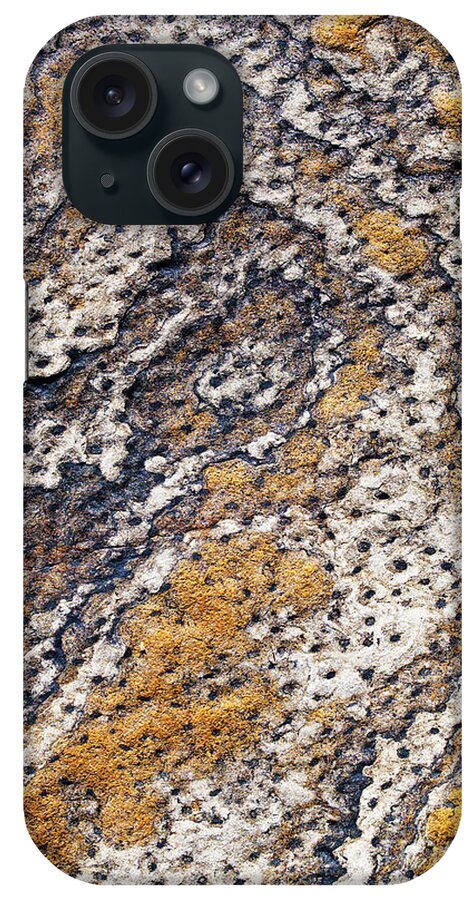 Beach Rock iPhone Case featuring the photograph Stigmaria by Tim Gainey