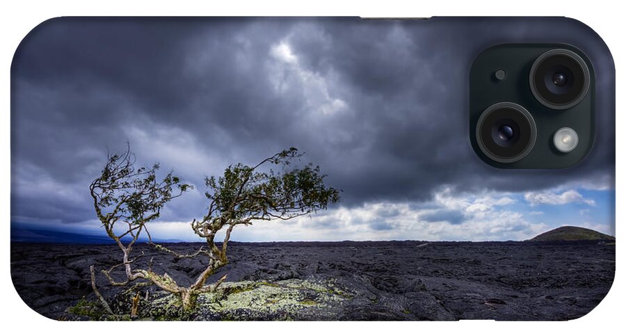 Hawaii iPhone Case featuring the photograph Still Fighting by Dan Mihai