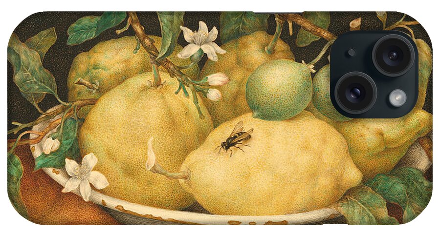 Lemons iPhone Case featuring the painting Still Life with a Bowl of Citrons by Giovanna Garzoni
