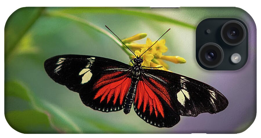 Butterfly iPhone Case featuring the photograph Butterfly, Stop and Smell the Flowers by Cindy Lark Hartman